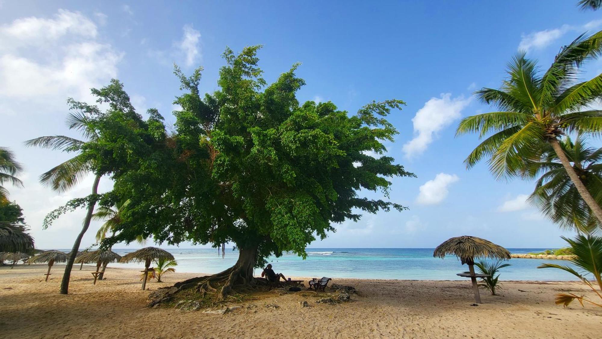 Kaz Lorike - Vue Mer & Piscine Exceptionnelle - Anse Des Rochers แซงต์-ฟรองซัวส์ ภายนอก รูปภาพ